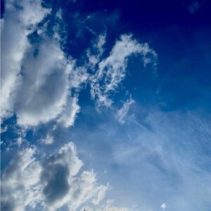 Meet your Posher, *summer*